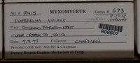 Image Associated With the Occurence